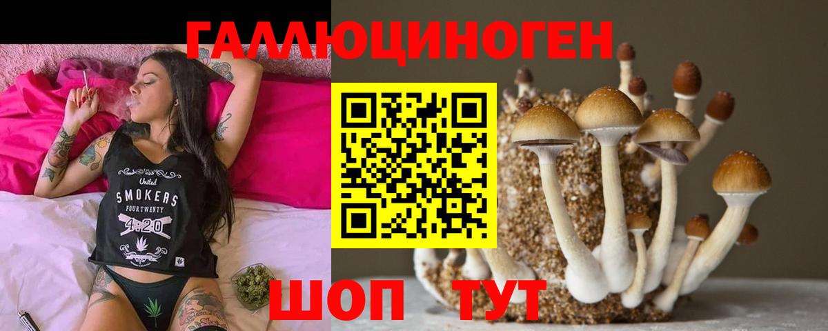 как найти закладки  Псилоцибиновые грибы Psilocybe  Галлюциногенные грибы Cubensis  Вход с VPN  Казань 