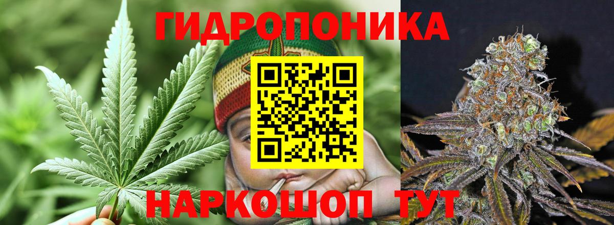 Псилоцибиновые грибы Казань